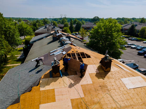 Slate Roofing Contractor in Waterloo, IN